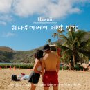 하와이에너지 | 하와이 하나우마베이 예약 방법 스노쿨링 준비물 주차 팁 예약대행 후기