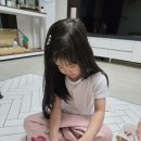 채아 무순심기 이미지