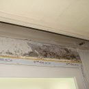 수정로188번길 이미지