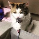 시티노래방 이미지