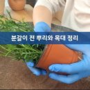 장가이버 이미지