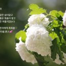 무위