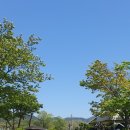 옛길 플라워 이미지