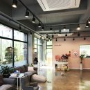 바른 애견 이미지