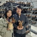 일굼 - 서귀포시 보목로 85-4 | 일굼