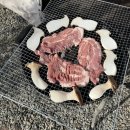 대성글램핑 이미지