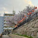 하나쿠마HANAKUMA 이미지