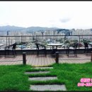 파인마루오피스텔 이미지