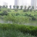 내몸애찬 이미지