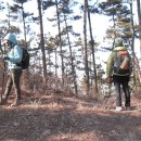군산야미