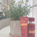 도파 | [품평단 후기] 필로티 도파 라인 3종 솔직 사용기