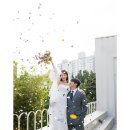 푸릇푸릇스튜디오