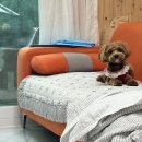 아갤러리 | 천안 독채 펜션 아갤러리 - feat.애견동반,계곡,바베큐