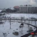 수택초등학교 이미지