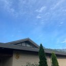 평정심 | 위빳사나 명상 후기 #5 평정심이란