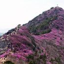 동아아파트앞 정류장 이미지