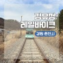 유연선「동백꽃」 | 강원도 춘천 여행 데이트 필수 코스 추천 김유정 레일바이크