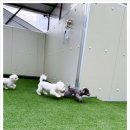 부산진유치원 이미지