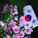아름다운나라