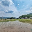 한뫼마루 | 대한민국 정부 수립 때 초대 문교부 장관을 역임한 안호상 박사의 생가를 방문하다!