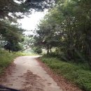 머루와 다래 이미지