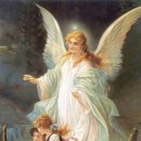 (주)수호천사 이미지