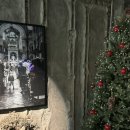 스테이 이브 이미지