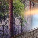 강남최선생 이미지