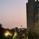 바른마디의원 | 어제의 이상이 오늘의 일상이라서🧣[11월]