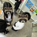 수민기획 | [공지] [KRX 퓨처스타 6기 Fining] 서류&면접 합격 후기