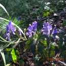 꿈의궁전별관 이미지