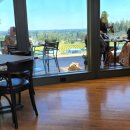 소콜(SOKOL) 이미지