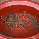 추진목장 이미지