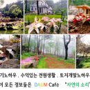 비에스건축사사무소 이미지