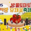 부여꽃