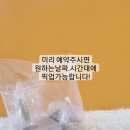 몽쉘몽봉 이미지