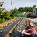 은혜농장2 이미지