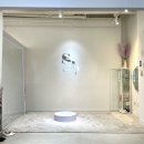 세이헤어 - 증평군 | 세이헤어
