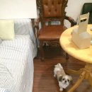 에이.비.지 이미지