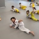 다움태권도장 이미지