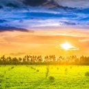 세종청사공인번역행정사사무소 이미지