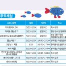 시민으로서 소박한 민주주의 찾기 | 제주 서귀포 보목 자리돔축제 주말 무료체험 및 주차 꿀팁 생생 후기