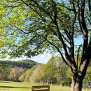 시흥시육아종합지원센터 이미지