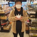 렙타일정글