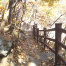 호박소가는길 이미지