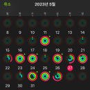 녹스캠프 크로스핏 | 운동이야기 / 수영일기, 러닝일기 / 이천 설봉공원 러닝, 용인 처인구 녹스캠프 크로스핏 일일체험 후기