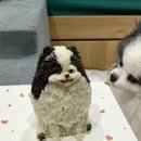 꼬소한댕 이미지