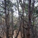 상백마을 이미지