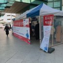 역적로1R-5 | 난소 기형종 8cm 단일복강경 수술 후기(긴글주의)