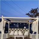 럭셔리애견사랑 이미지